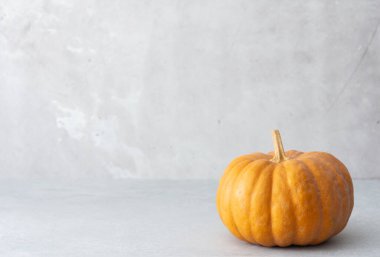 Kahverengi balkabağı. Gri arka plan, sonbahar hasadı, sonbahar arka plan.