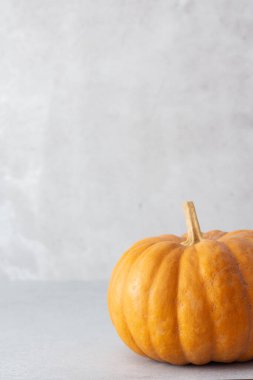 Kahverengi balkabağı. Gri arka plan, sonbahar hasadı, sonbahar arka plan.