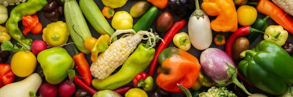 Tło Świeżymi Jesiennymi Warzywami Organiczny Zdrowy Baner Produktów Rolnych Widok — Zdjęcie stockowe