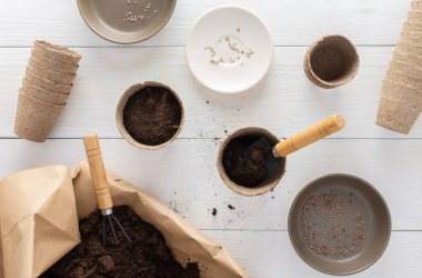 Tohumlar için çevre dostu tencereler