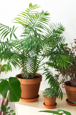 Doğanın ve insanların birliği, pencerenin yanındaki odanın köşesindeki kahverengi kil çömleklerde ev yeşili bitkiler, çiçekli eski bir dikiş makinesi, biyofilik tasarım