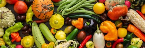 Taze sonbahar sebzeleri, organik sağlıklı tarım ürünleri afişi, üst manzara.