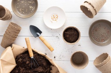 Beyaz ahşap bir arka planda fidanlar için çevre dostu tencereler, içinde tırmık ve bahçe malası olan küçük bir çanta, tek kullanımlık bezelye saksılarına tohum ekme