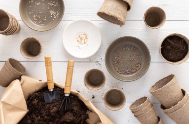 Tohumlar için çevre dostu tencereler