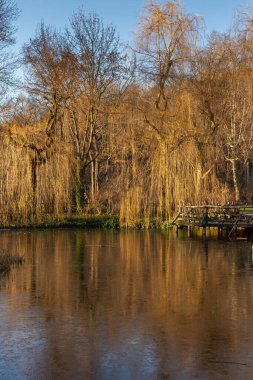 Aralık ayında Berlin 'deki Volkspark Friedrichshain Parkı' ndaki donmuş su çeşmesi.