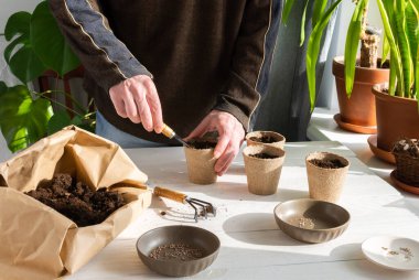 Tohum ekmek için çevre dostu tencereler, toprak, bahçe malası, tırmık, domates tohumu, bir adam eve fidanlar ekiyor.