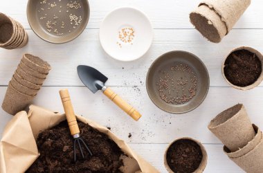 Beyaz ahşap bir arka planda fidanlar için çevre dostu tencereler, içinde tırmık ve bahçe malası olan küçük bir çanta, tek kullanımlık bezelye saksılarına tohum ekme