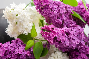 Taze, güzel bir demet leylak. Yaklaş.