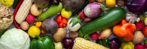 Предпосылки Контекст Fresh Autumn Vegetables Organic Healthy Farm Products Banner — стоковое фото