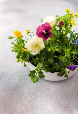 Bahar ve yaz çiçekleriyle dolu beyaz yuvarlak vazo Ranunculus ve Muscari, Petunias ve Pansies gri arka planda, çiçeklerle süslenmiş ev dekorasyonu