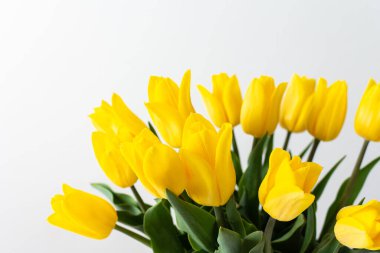 Beautiful spring bouquet of yellow tulips, festive bouquet for birthday or holiday