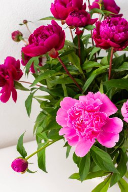 Beyaz bir vazodaki şakayıklar beyaz bir duvara karşı, evin bir parçası, çiçekli ev dekorasyonu, rahat yaz arkaplanı