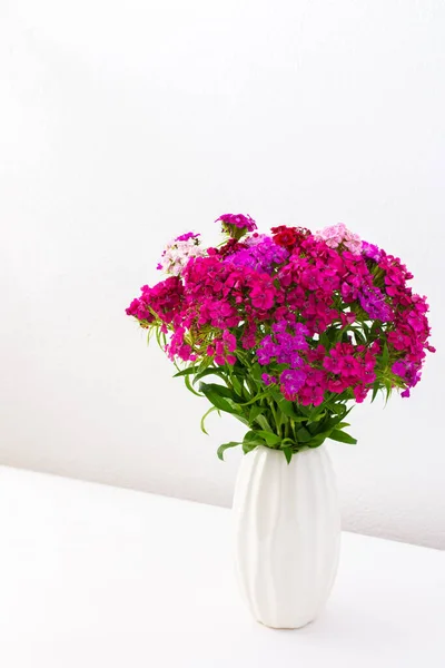 Krásné Letní Karafiáty Květiny Bílé Váze Součást Interiéru Domu — Stock fotografie