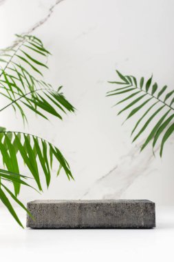 Kozmetik ürünleri için beton siyah podyum. Beyaz mermer bir duvarın arka planındaki tropik yapraklar arasında yakın plan.