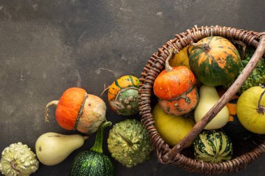 Yeşil arka plan, üst görünüm, sonbahar arkaplan, kopyalama alanı üzerinde hasır sepette dekoratif ve yenilebilir balkabakları