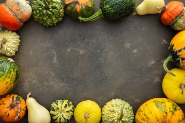 Yeşil zemin üzerinde dekoratif ve yenilebilir balkabakları, üst görünüm, sonbahar arkaplanı, kopyalama alanı