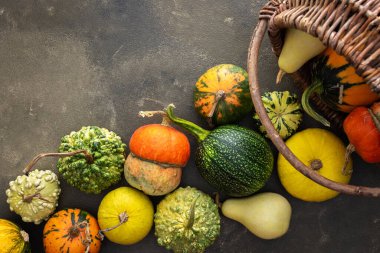 Decorative and edible pumpkinsfall out of a wicker basket on a green background, top view, autumn background, copy space