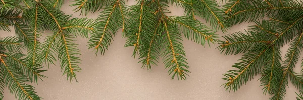 Merry Christmas Happy New Year Banner Spruce Branches Powdery Background — Zdjęcie stockowe