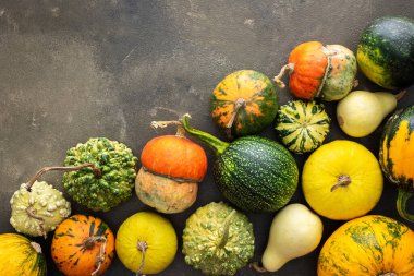 Yeşil zemin üzerinde dekoratif ve yenilebilir balkabakları, üst görünüm, sonbahar arkaplanı, kopyalama alanı