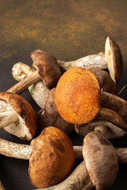 Forest wild boletus mushrooms, aspen mushrooms close-up