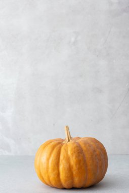 Kahverengi balkabağı. Gri arka plan, sonbahar hasadı, sonbahar arka plan.