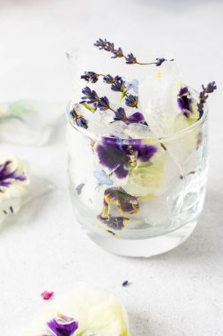 Refreshing cold drink with frozen flowers, colorful pansies and lavender and Verbena