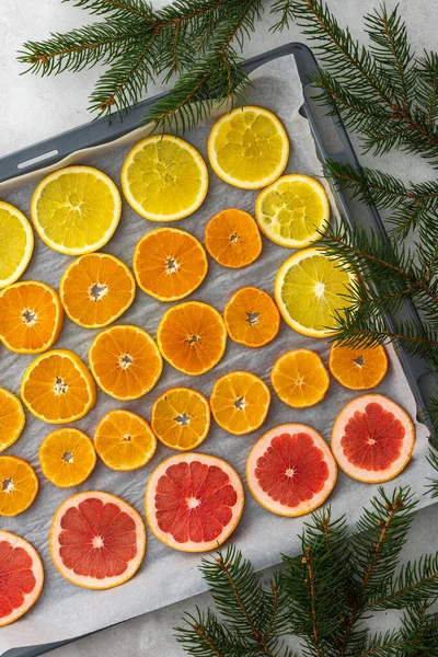 Sliced orange, tangerine and grapefruit slices on baking sheet and spruce branches, preparing citrus wedges for Christmas garland
