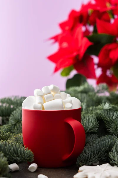 Bebida Natal Com Marshmallows Uma Caneca Com Biscoitos Gengibre Entre — Fotografia de Stock