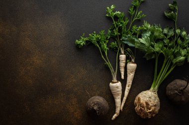 Maydanoz ve üst ve siyah turplu kökler kahverengi arka planda, üst tarafta, sağlıklı sonbahar kökleri, kopyalama alanı