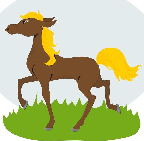 Foal Stock Vector