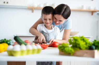 Bağlanma kavramı. Neşeli anne oğluna yemek pişirmede yardım ediyor, küçük çocuğa sağlıklı sebze salatası yapmayı öğretiyor, domates kesiyor, evde birlikte yemek pişiriyor..
