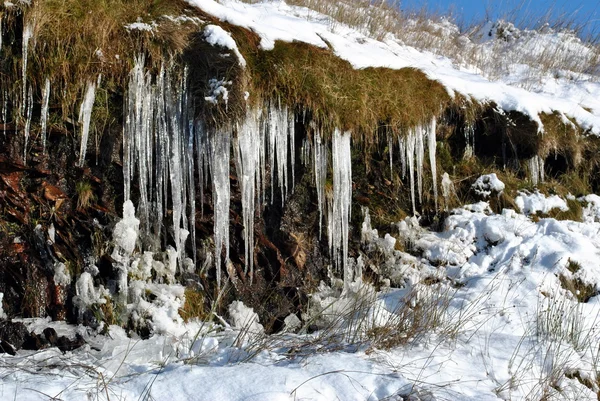 Frozen icicles — Stock Photo, Image