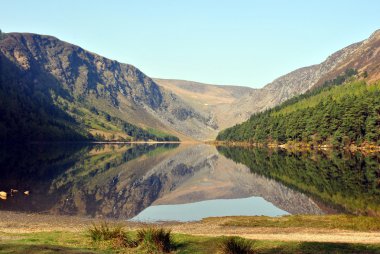 exclamación de hojas verdes