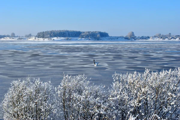 Frozen landscape — Stock Photo, Image