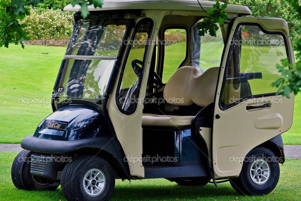 buy golf buggy