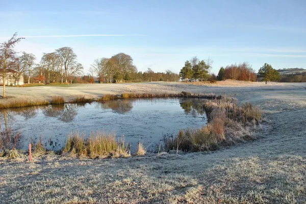 First frost — Stock Photo, Image