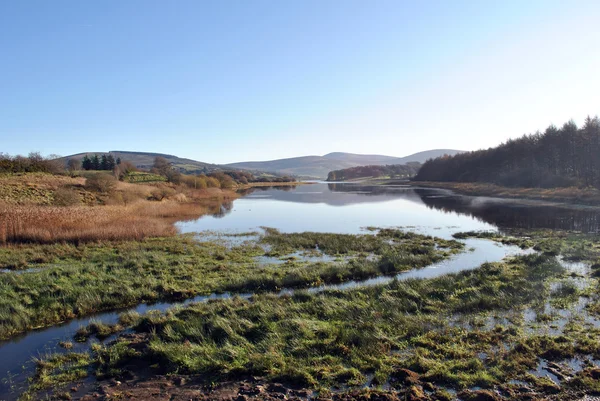 Blessington lake — Stock Photo, Image