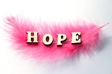 Gri ahşap arka plan üzerinde yazıt umut ile pembe sopa