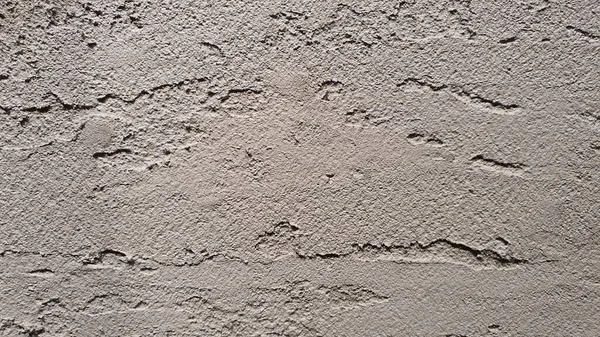 Besouro decorativo de casca de gesso. A textura de gesso decorativo, imitação de um tronco com um traço, o sinal de um besouro de casca. Fundo cinzento. — Fotografia de Stock