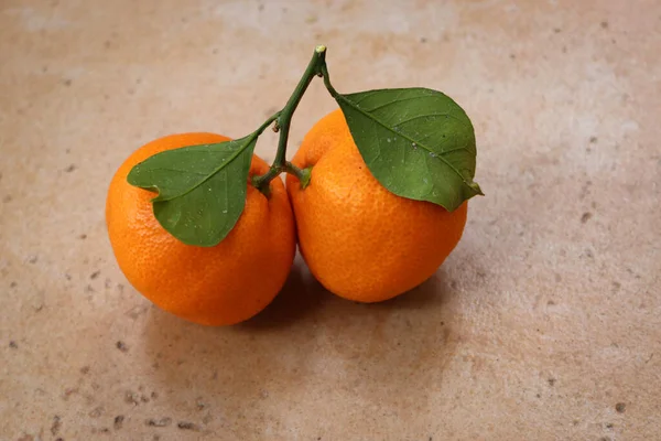 Ripe Juicy Orange Mandarins Tangerines Green Leaves Fruit Citrus Tropical — Stock Photo, Image