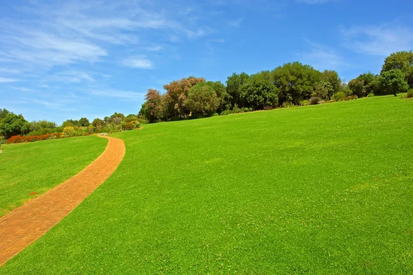 Stone road running through green meadow — Stock Photo, Image