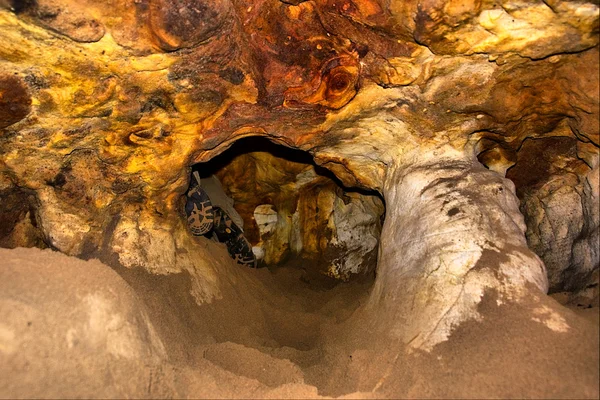 Líquen vermelho e amarelo em uma caverna — Fotografia de Stock