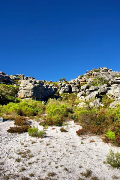 Vit sand plats bland stenar — Stockfoto