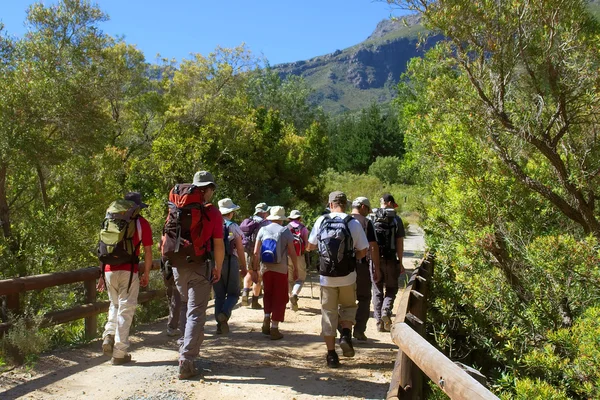 Group of hikers crosses the bridge — Stock Photo, Image