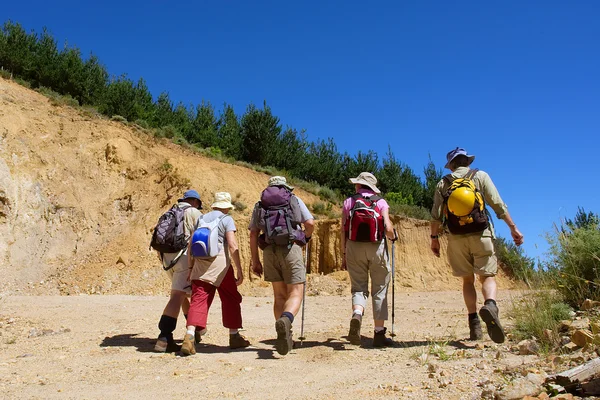 Groupe de cinq randonneurs marche dans une rangée — Photo