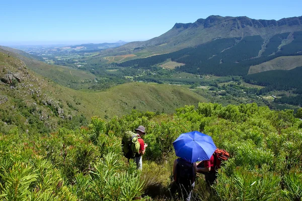 Drie wandelaars kijken majestueuze berglandschap — Stockfoto