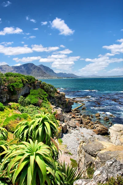 Tropische planten tegen awesome zee — Stockfoto