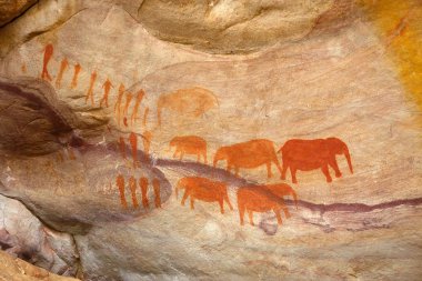 Buşman fil resimleri