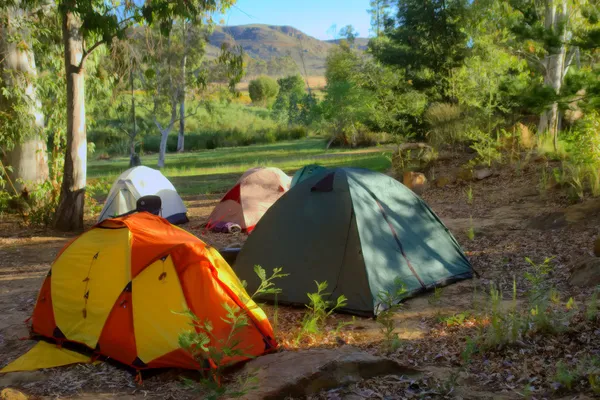 Hiker табір в лісі вранці в горах — стокове фото