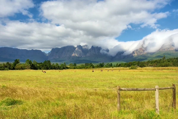 Pasture fields in front of amazing mountains — Stock Photo, Image